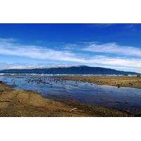 Kapiti Gold Coast Tour from Wellington