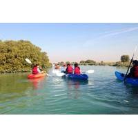Kayaking in Qatar
