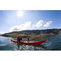 Kayaking Day Trip from Reykjavik