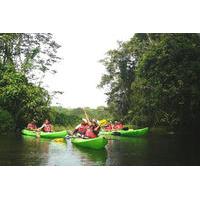 Kayak Tours at Gamboa