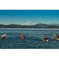 Kayak Tour of Gulf Islands