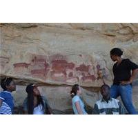 Kamberg Bushman Rock Paintings Tour from Durban