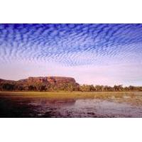 kakadu day tour from darwin including ubirr art site and mary river we ...