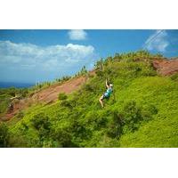 kauai zipline tour in poipu