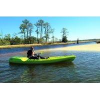 Kayaking and Wildlife Tour of First Landing State Park