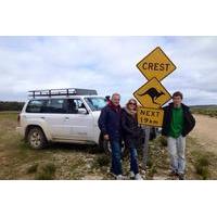 kangaroo island 4wd full day tour seal bay