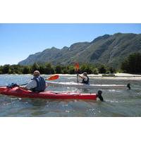 Kayaking in Patagonia from Puerto Varas