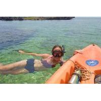 Kayak and Snorkel Tour in Tamarindo Beach from Flamingo Beach