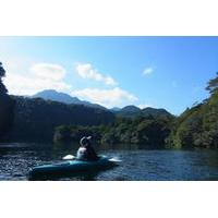 Kayaking the Anbo River in Yakushima