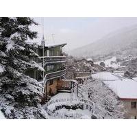 Kasees Apartments & Mountain Lod...