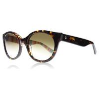 Kate Spade MELLY/S Sunglasses Havana 0RNLCC