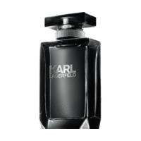 Karl Lagerfeld for Him Eau de Toilette (100ml)