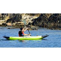 Kayaking with Seals in Oban, Scotland