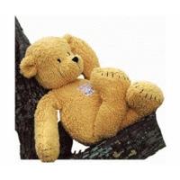 Kathe Kruse Terry cloth Bear 40cm