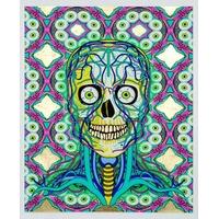 Kal - Eye - De - Skull - Icon - No 1 By Grande Dame