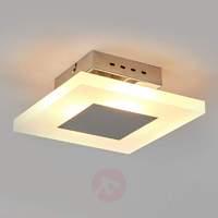 Katleen LED Wall and Ceiling Light