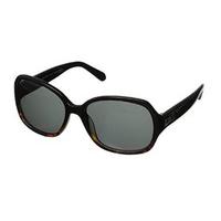 Kate Spade Sunglasses Laney/P/S EUTP Y2