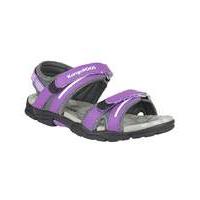 kangaroos s corgi summer sandal