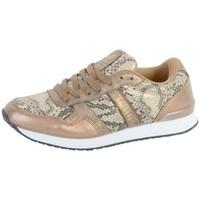 kaporal sneakers jemma bronze mens shoes trainers in brown