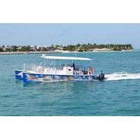 Key West Shark and Wildlife Catamaran Tour