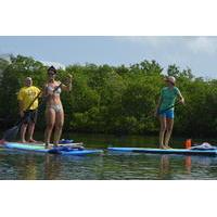 Key West Stand Up Paddleboard Lesson with Guide