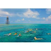 Key West Reef Snorkeling Cruise