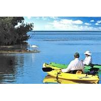 Key West Backcountry Kayak and Paddleboard Eco Tours
