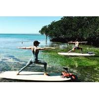 key west paddleboard yoga for all levels