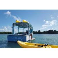 Key West Kayak and Snorkel Eco Tour