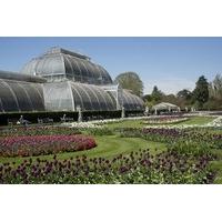 Kew Gardens Visit and River Cruise from Central London for Two