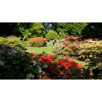 Kew Gardens Private Guided Walking Tour and Admission for Two