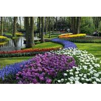 keukenhof amsterdam guided city tour