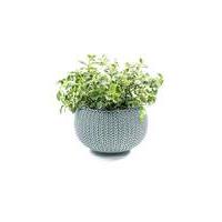 keter knit misty blue planter small