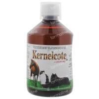 Kernelcote Dog-Cat-Horse 500 ml