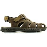 Keys 3792 Sandals Man Turtledove men\'s Sandals in grey