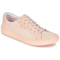 Keds ACE MONO women\'s Shoes (Trainers) in pink