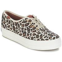 Keds TRIPLE LEOPARD women\'s Shoes (Trainers) in brown