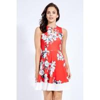 KEYHOLE PANEL FLORAL SKATER DRESS