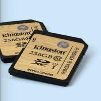 Kingston 256GB SDXC Class 10 Flash Card