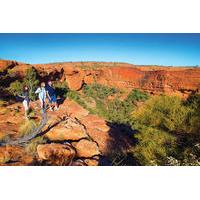 Kings Canyon Guided Rim Walk