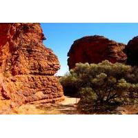 Kings Canyon Day Trip from Ayers Rock