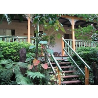 Kidd Street Cottages