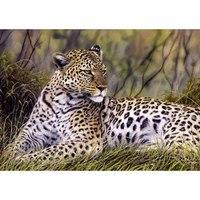 king of the savannah jigsaw puzzle