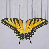 Kissed the Sun Mini By Louise McNaught
