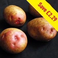 King Edward Seed Potatoes (2kg)