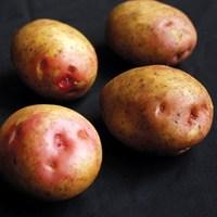 King Edward Seed Potatoes (1kg)