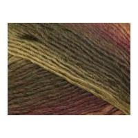 King Cole Riot Knitting Yarn Chunky 620 Walnut