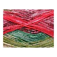 King Cole Shine Knitting Yarn DK 1719 Festive