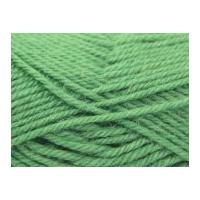 King Cole Merino Blend Knitting Yarn DK 854 Fern