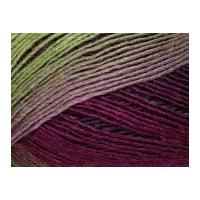 King Cole Riot Knitting Yarn DK ...